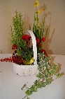 Christmas Planted Basket